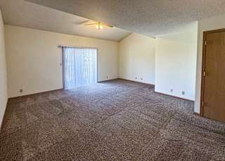 a living room with carpeted floor and a sliding glass door with blinds