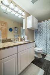 a bathroom with a sink and a toilet