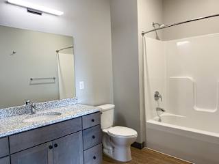 Bathroom with light gray finish and granite counter tops