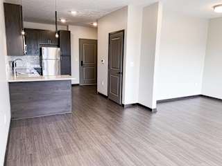 Living area looking into the kitchen with peninsula cabinet and counter space