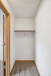 Walk-in apartment closet with carpeted flooring, a built-in hanging rod, and ample storage space for clothing and organization.
