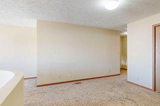 A loft bedroom with carpeted flooring and a closet.