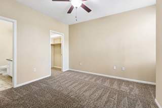 Empty apartment bedroom with plush carpet, ceiling fan, and open access to bathroom and walk-in closet.