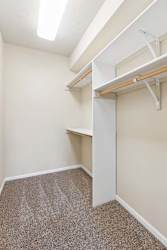 Walk-in apartment closet with carpet, overhead light, built-in shelves, and hanging rods.