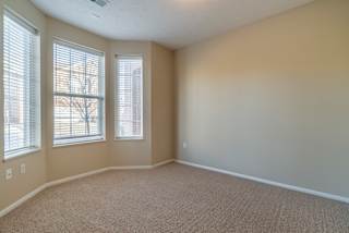 A room with carpeted floor and two windows.