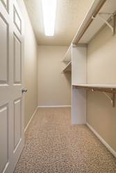 Large walk-in closet with built in shelving