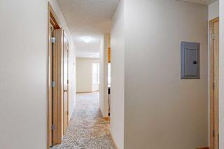 Apartment hallway with beige walls, wood-trimmed doors, carpeted flooring, and overhead lighting leading toward the living area.