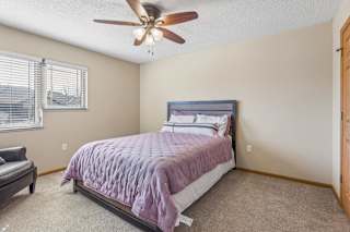 Bright apartment bedroom with neutral carpet, large corner windows, ceiling fan, and a queen-size bed, offering a comfortable and airy interior.