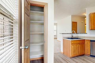 A kitchen with a pantry with several shelves, a large window for natural light, and wooden cabients.