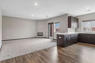 Open-concept apartment living area with plush carpeting, wood-style flooring, a modern kitchen, and a sliding glass door to a private patio.