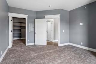 Gray-walled apartment bedroom pairs plush carpeting with crisp white trim and an open walk-in closet featuring built-in shelving.