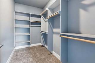 Walk-in closet maximizes storage with built-in shelving, hanging rods at varied heights, gray finishes, and soft carpeting.