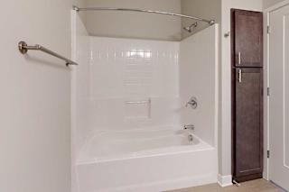 A bathroom with a tub shower and linen cabinets.