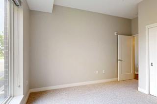 A carpeted bedroom with a floor-to-ceiling window and sliding-door closet.