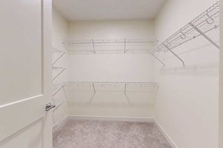 A white closet with a door open and shelves on the wall.