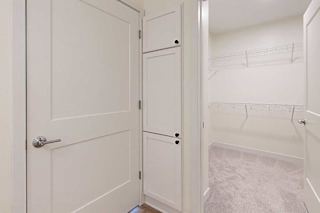 White walk-in closet with beige carpet and wire shelving against cream walls.