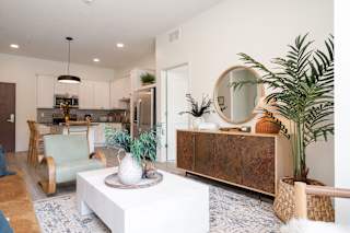 Furnished living room with  large white coffee table decorated with plants and greenry
