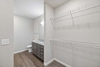 Walk-in apartment closet with built-in wire shelving and an adjacent bathroom featuring a single-sink vanity, dark cabinetry, and wood-style flooring.