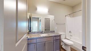 a bathroom with a granite countertop vanity sink and a large mirror