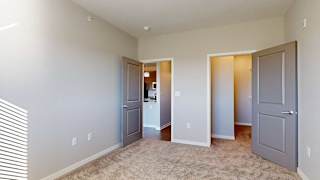 a bedroom with a large walk-in closet and carpeting
