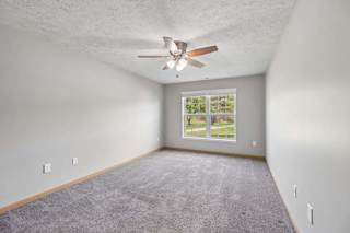 Bright apartment bedroom with soft carpeting, a ceiling fan, and a large window providing natural light.
