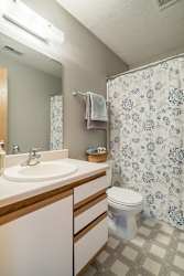a bathroom with a sink and a toilet