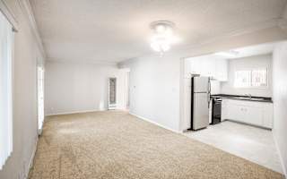 Lots of natural light in apartment