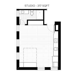 A floor plan of a studio apartment is shown with a total area of 317 square feet.