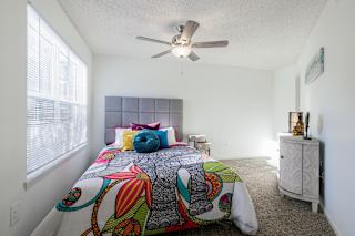 A spacious bedroom with a large window and neutral carpeting.