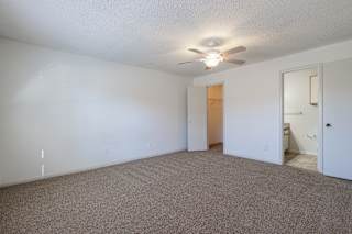 An empty bedroom in a model unit at Skyler Ridge Complex, featuring carpet and a large window with natural light.