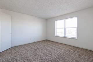 Empty primary bedroom at Skyler Ridge featuring neutral carpet and a large window for natural light.