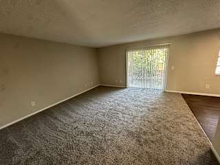 A room with a carpeted floor and a sliding glass door leading outside.at Auburn Glen Apartments, Jacksonville