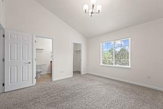 A large, empty room with a carpeted floor and a window showing a view of trees outside.