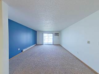 A room with a carpeted floor and a window.
