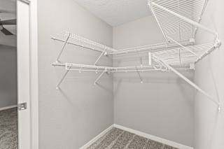 Large Closet at Galante at Parkside, MN, 55124