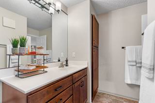 Bathroom Vanity at Cedars Lakeside Apartments, Little Canada