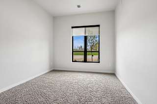 A room with a carpeted floor and a window showing a tree and a road outside.