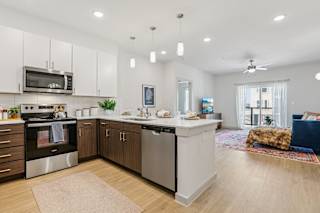A modern kitchen with stainless steel appliances and wooden cabinets at ThreeTwenty at the Vybe Apartments, Texas, 78640