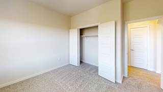 A room with a carpeted floor and two white doors. at Bridge at Speyside Apartments, Texas
