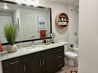 Bathroom at Bridge at Delco Flats Apartments, Austin, TX