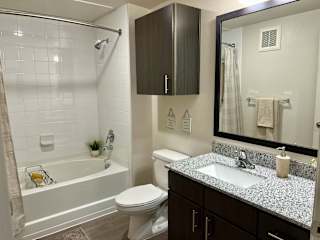 Bathroom with tub shower combo and dark wood vanity at High Point Preserve Apartments, Texas, 78724