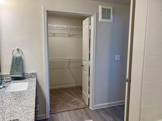 Walk-in closet with wire shelving and carpeted floor 1 at High Point Preserve Apartments, Texas, 78724