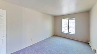 A spacious bedroom with a window and carpeted floor at Briarwood Apartments in Benton Harbor, MI