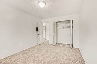 Empty carpeted bedroom with closet and doorway at Brookside Apartments, Springfield, MI 49037