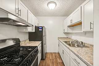 Galley kitchen with granite countertops and stainless steel appliances at Brookside Apartments, Springfield, 49037