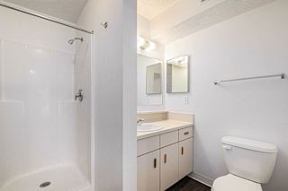 Bathroom with dual vanities and shower stall at Black Sand Apartments Homes, Lincoln, Nebraska