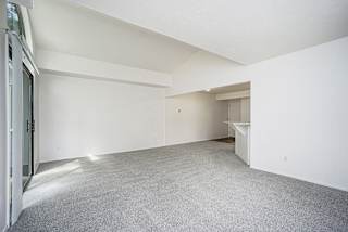 A large, empty living room with white walls and a grey carpet at North Pointe Apartments, Elkhart, IN, 46514