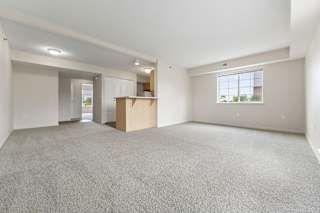 An enlarged, empty living room with a carpeted floor and a window at Tall Oaks Apartment Homes, Kalamazoo, MI