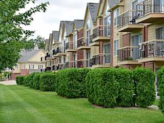 a row of bushes in front of an apartment building