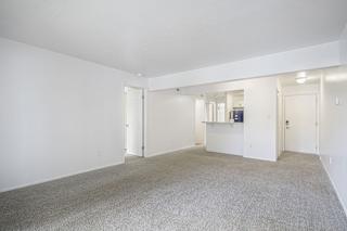 A large, empty room with carpeted flooring and white walls.